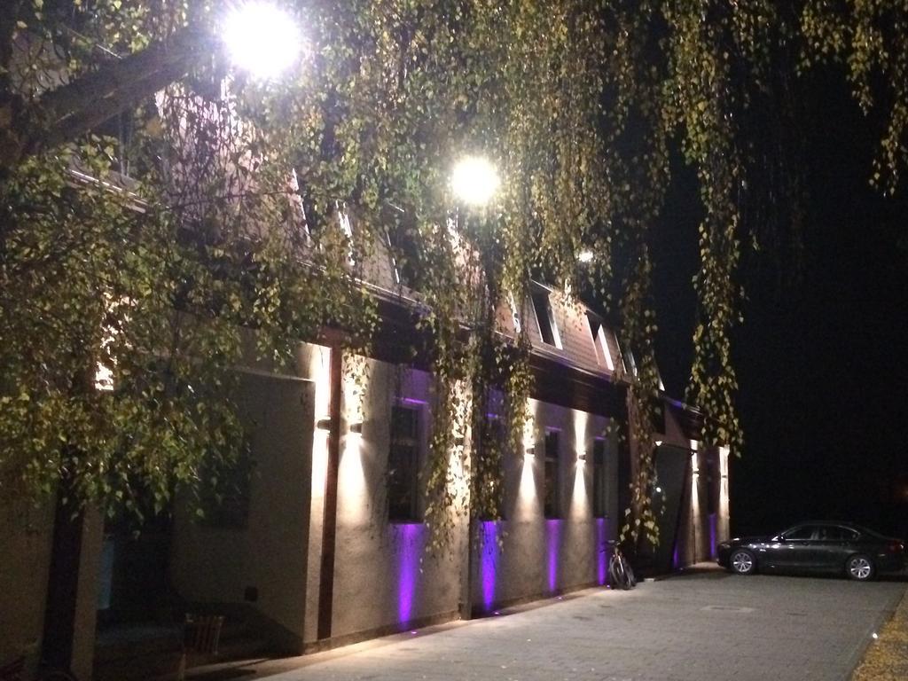 Prenociste Gazela Bed & Breakfast Pirot Bagian luar foto
