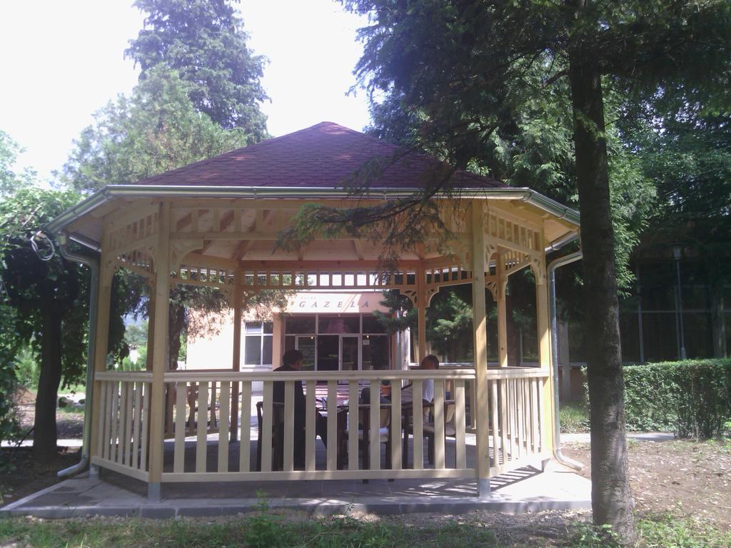 Prenociste Gazela Bed & Breakfast Pirot Bagian luar foto