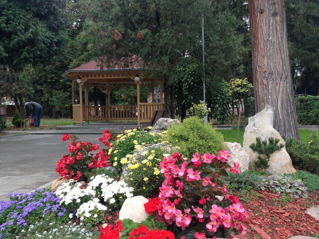 Prenociste Gazela Bed & Breakfast Pirot Bagian luar foto