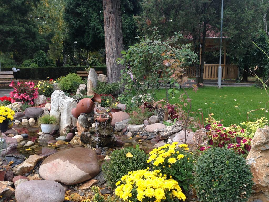 Prenociste Gazela Bed & Breakfast Pirot Bagian luar foto