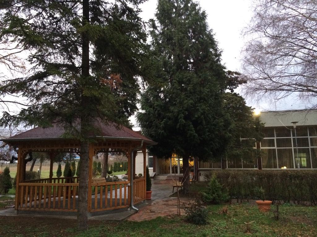 Prenociste Gazela Bed & Breakfast Pirot Bagian luar foto
